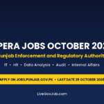 PERA jobs October 2026 Punjab Enforcement and Regulatory Authority 110 posts