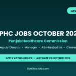 PHC jobs October 2026 Punjab Healthcare Commission Deputy Director Manager cleaner