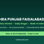 Suthra Punjab Faisalabad jobs 2026 524 sanitary worker walk-in interview